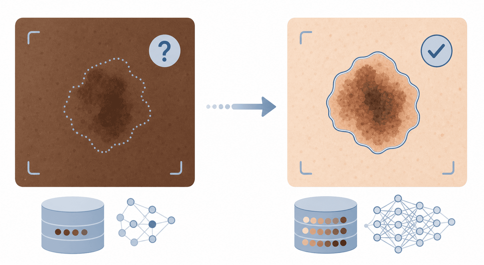 A side-by-side conceptual comparison showing AI dermatology analysis on different skin tones: a dark-toned skin patch with a dotted incomplete outline and question mark on the left, a light-toned skin patch with a solid complete outline and checkmark on the right, with an implied training data imbalance between them.