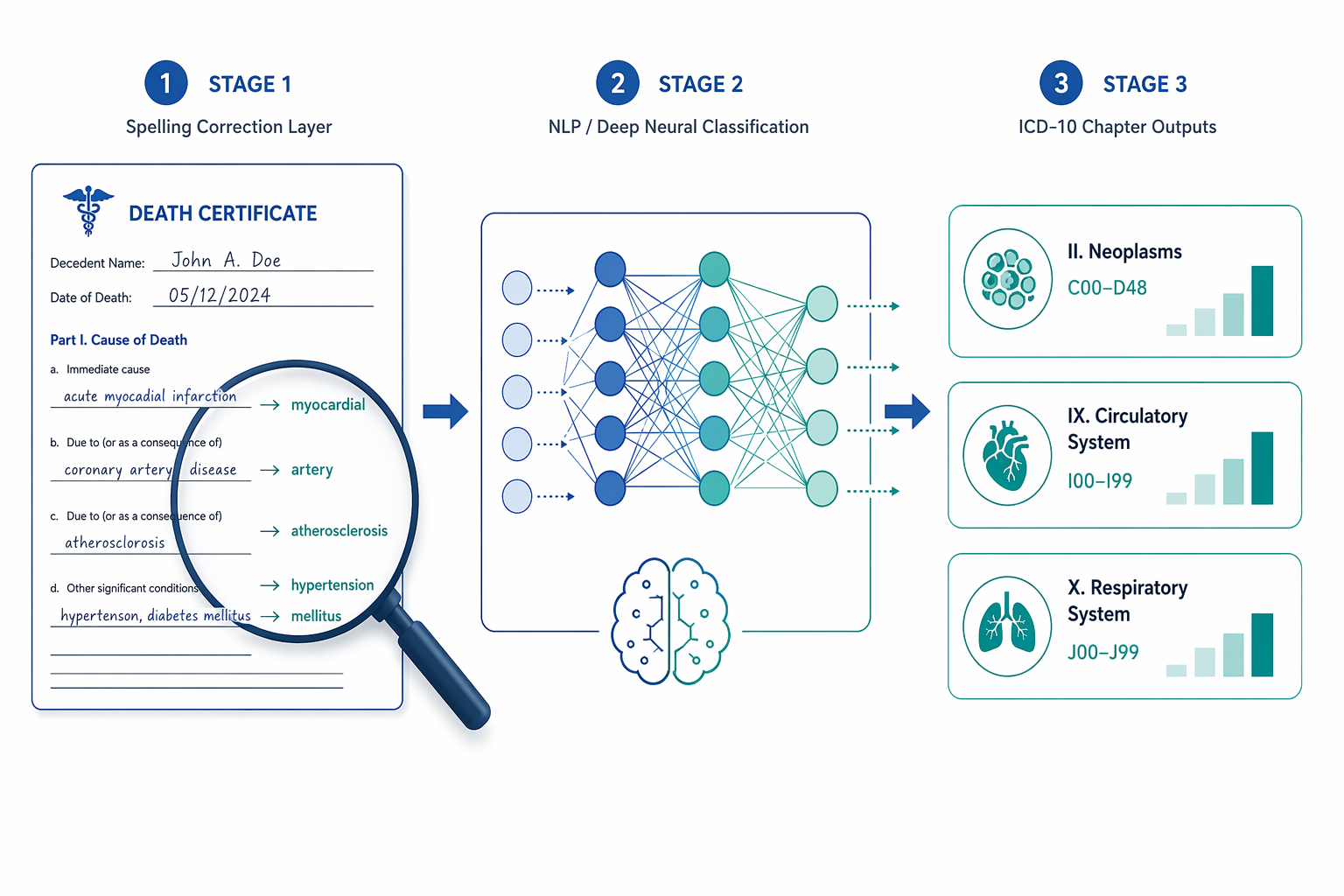 AUTOCOD workflow from death certificate text through spelling correction and neural network classification to ICD-10 chapter outputs
