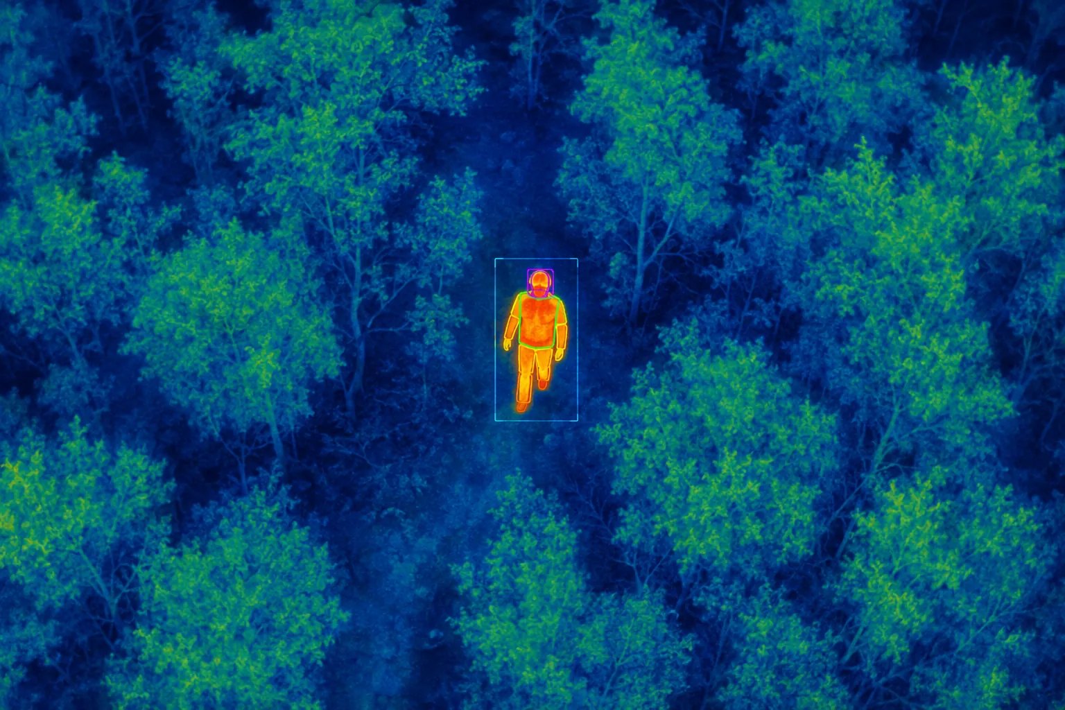 Thermal drone view of a forested landscape with annotation boxes around a person's body and forehead for AI-based triage