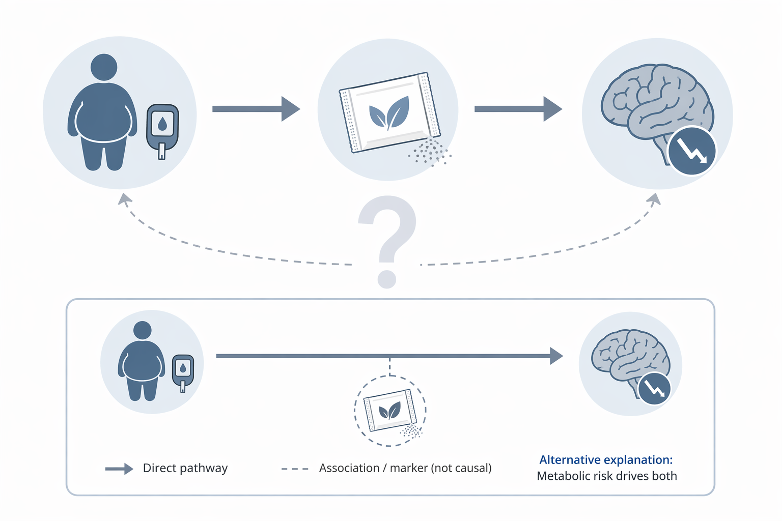 A diagram showing two possible pathways, one through metabolic risk and artificial sweetener use to cognitive decline, and another direct risk pathway with a question mark