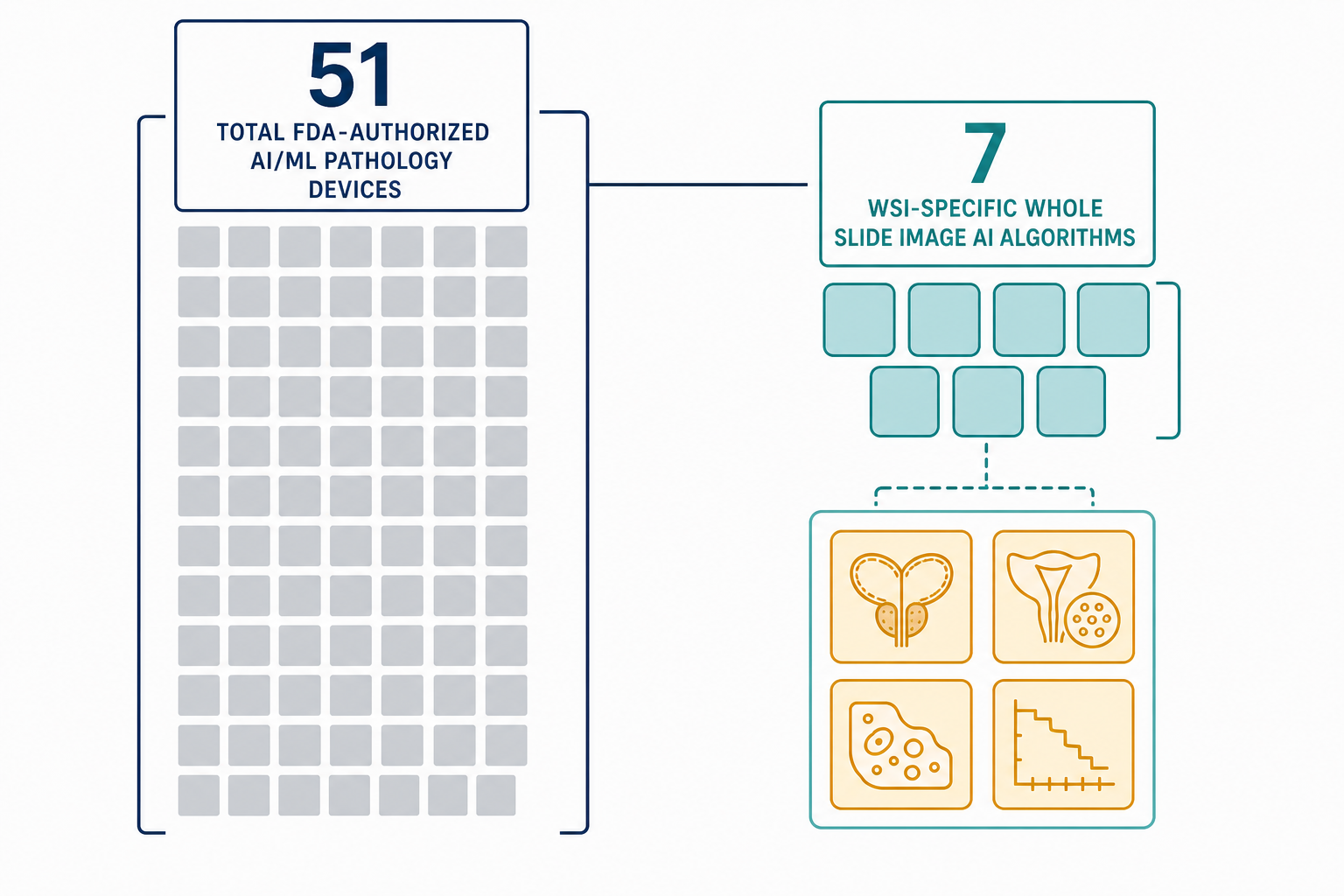 Editorial diagram showing 51 total FDA-authorized AI/ML pathology devices on the left and 7 WSI-specific AI algorithms on the right, with 4 highlighted in amber-gold representing the contemporary cleared WSI AI tools.
