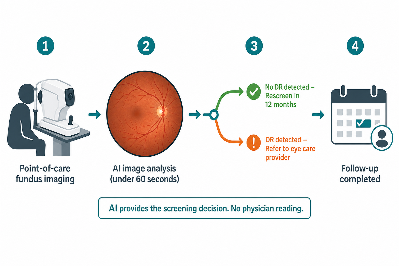 Four-step workflow diagram showing point-of-care fundus imaging, AI analysis under 60 seconds, binary branching to no-DR rescreen or DR-detected referral, and follow-up appointment.