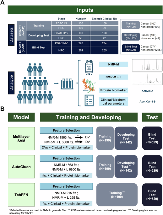 PanMETAI workflow diagram showing serum collection, NMR metabolic profiling, AI analysis, and pancreatic cancer classification
