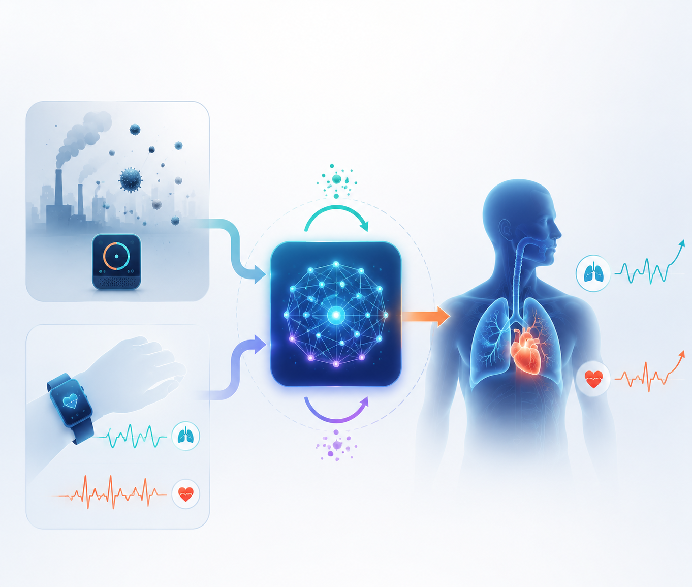 Air pollution and wearable sensor data flowing into an AI model that predicts changes in lungs and heart signals