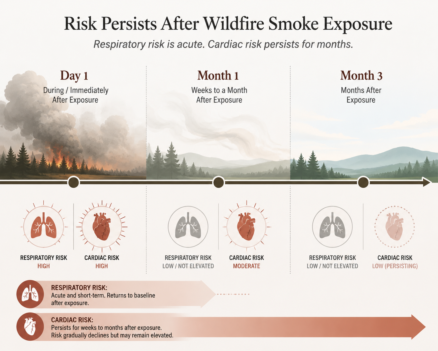 Timeline showing wildfire smoke effects on lungs and heart from day one through month three