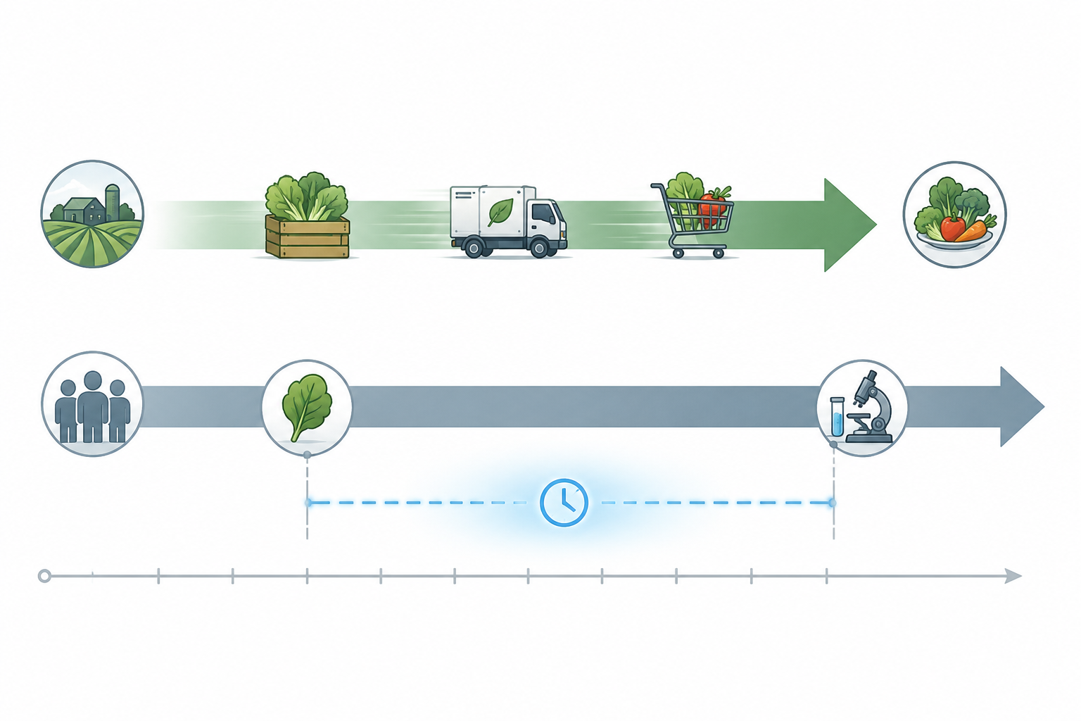 Timeline showing a fast produce supply chain and slower case-based surveillance track with a detection gap