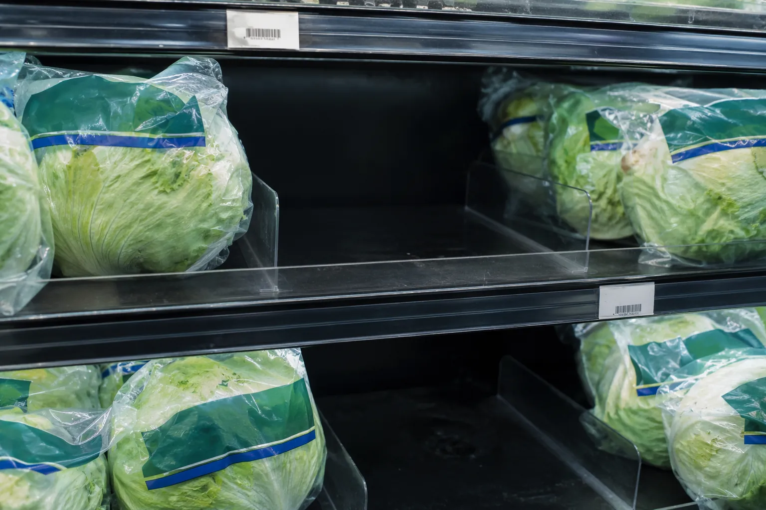 Refrigerated grocery lettuce display with empty gaps suggesting product removal